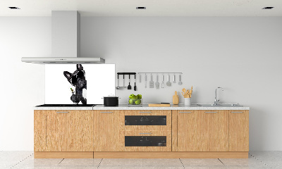 Cooker splashback Martini dog