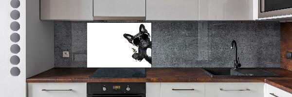 Cooker splashback Martini dog