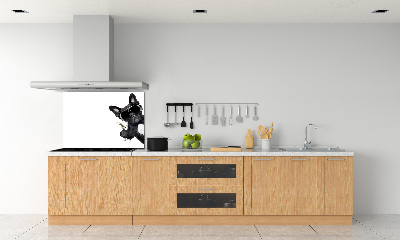 Cooker splashback Martini dog