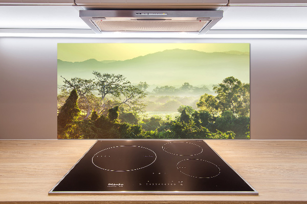 Cooker splashback Jungle