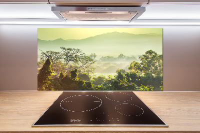 Cooker splashback Jungle