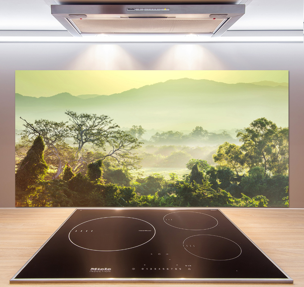 Cooker splashback Jungle