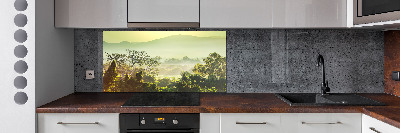 Cooker splashback Jungle