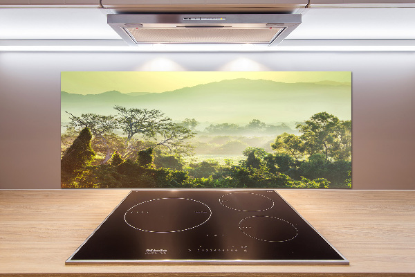 Cooker splashback Jungle