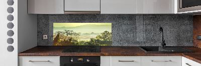 Cooker splashback Jungle