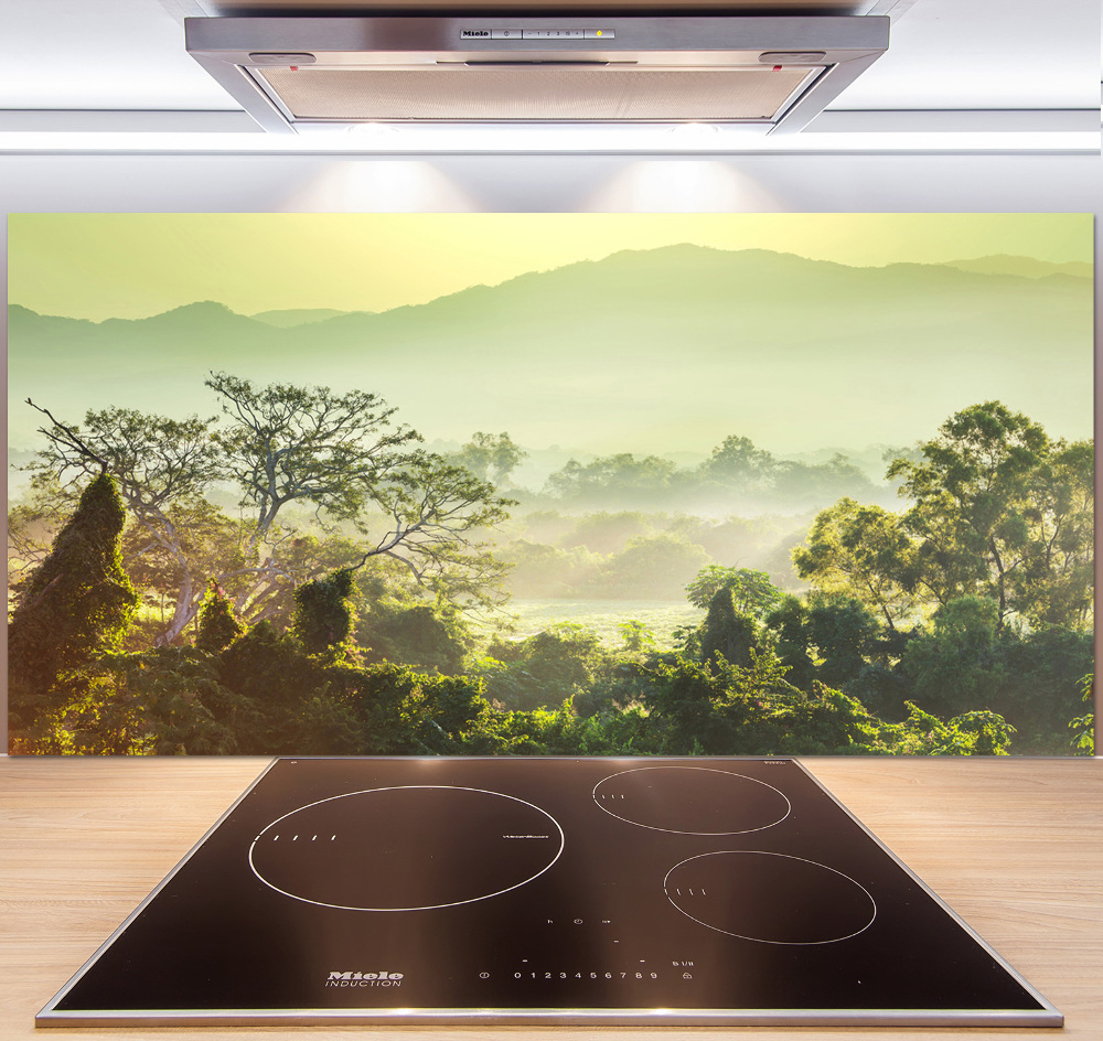 Cooker splashback Jungle