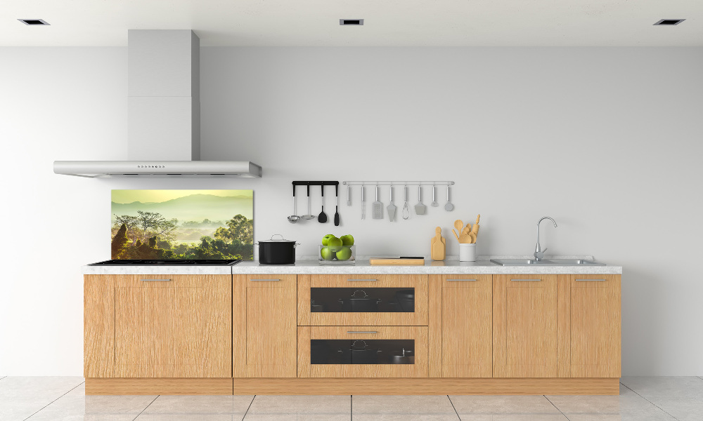 Cooker splashback Jungle