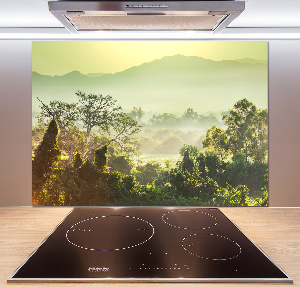 Cooker splashback Jungle