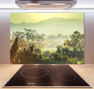 Cooker splashback Jungle