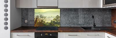 Cooker splashback Jungle