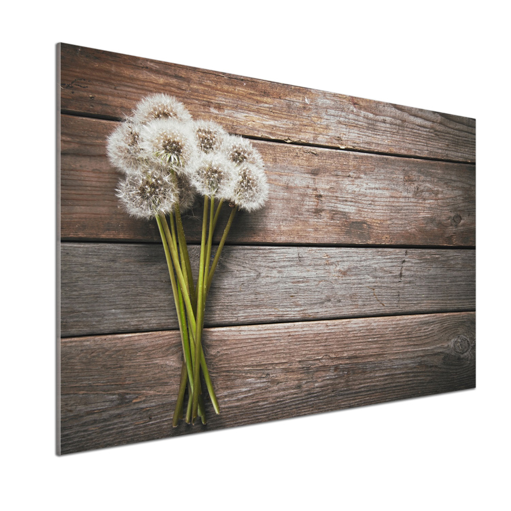 Cooker splashback Dandelion wood