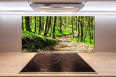 Cooker splashback Path in the forest