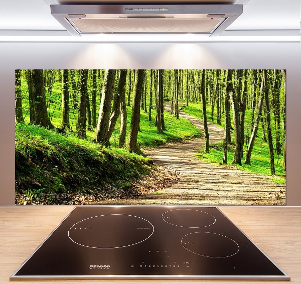 Cooker splashback Path in the forest