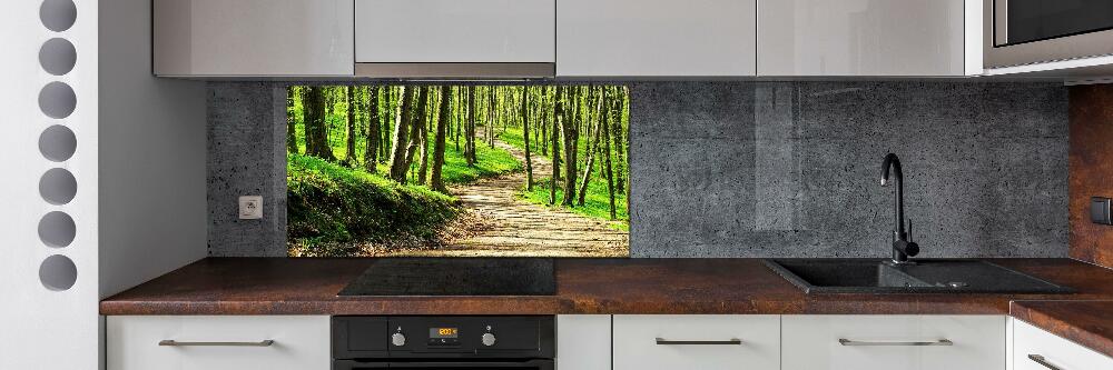 Cooker splashback Path in the forest