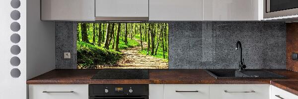 Cooker splashback Path in the forest