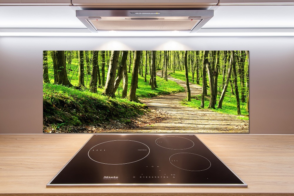 Cooker splashback Path in the forest