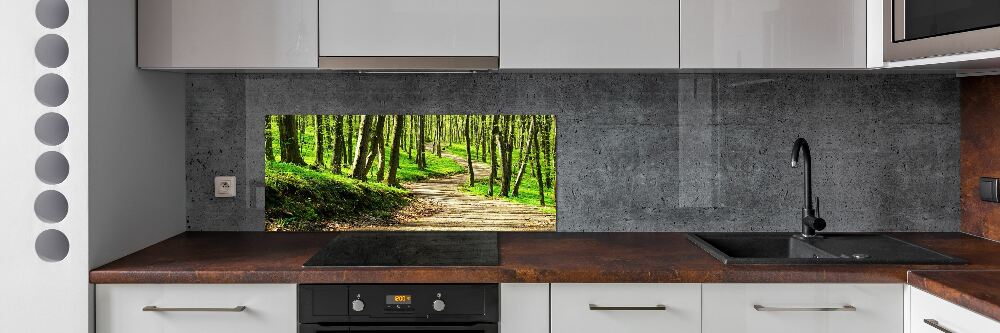 Cooker splashback Path in the forest