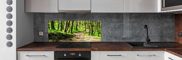 Cooker splashback Path in the forest