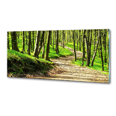 Cooker splashback Path in the forest