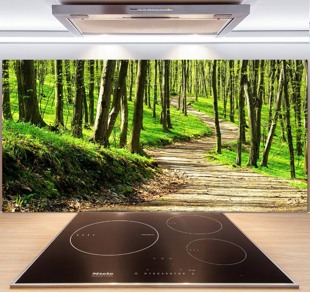 Cooker splashback Path in the forest