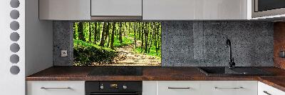 Cooker splashback Path in the forest