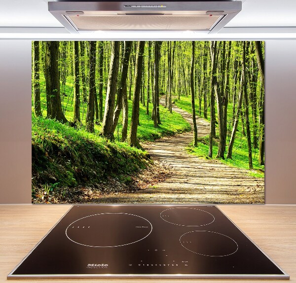 Cooker splashback Path in the forest