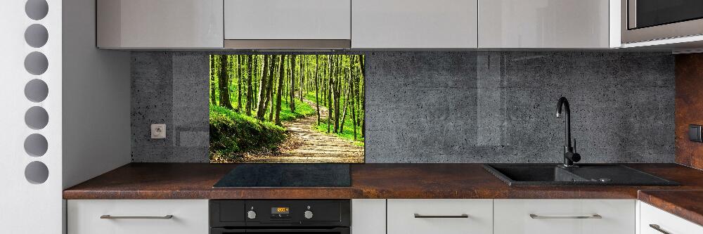 Cooker splashback Path in the forest