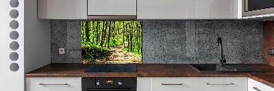 Cooker splashback Path in the forest