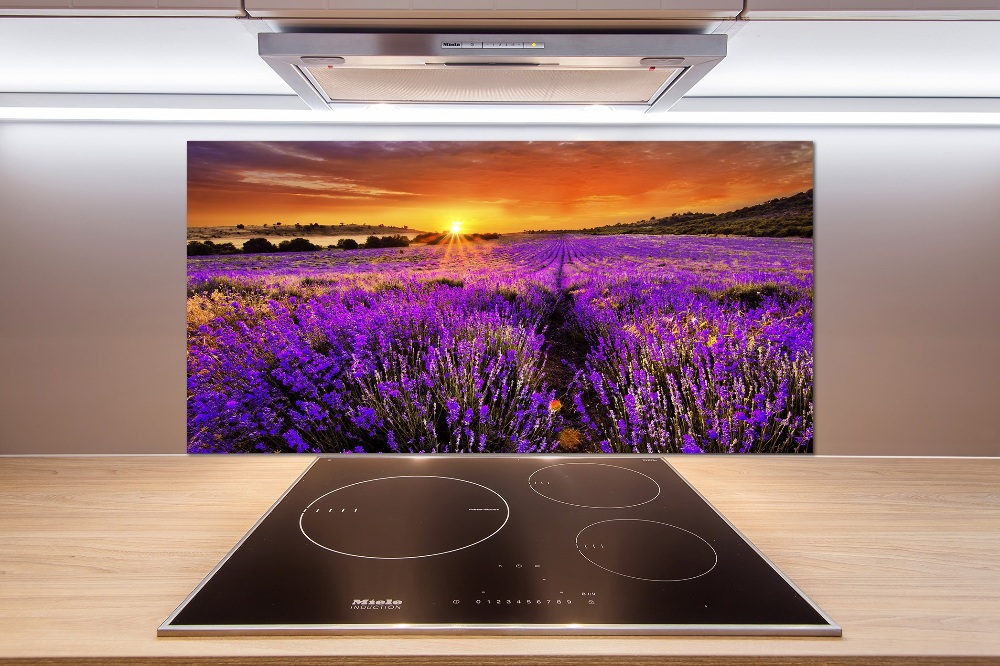 Cooker splashback Lavender field