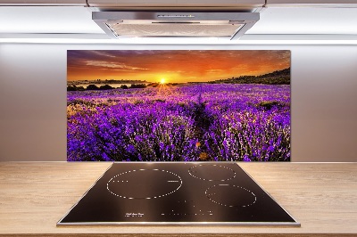 Cooker splashback Lavender field