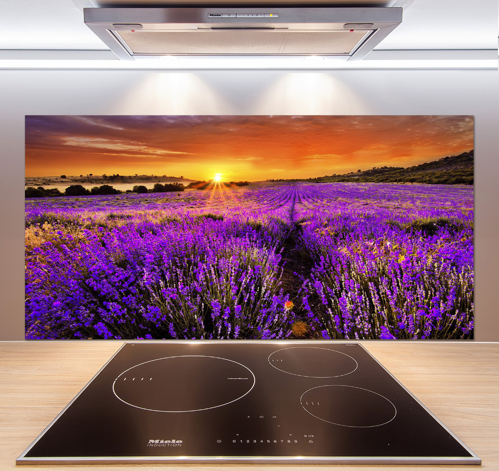 Cooker splashback Lavender field