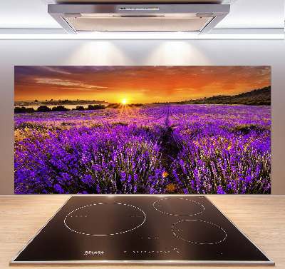 Cooker splashback Lavender field