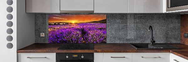 Cooker splashback Lavender field