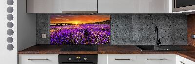 Cooker splashback Lavender field