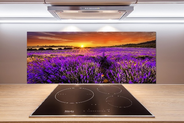 Cooker splashback Lavender field