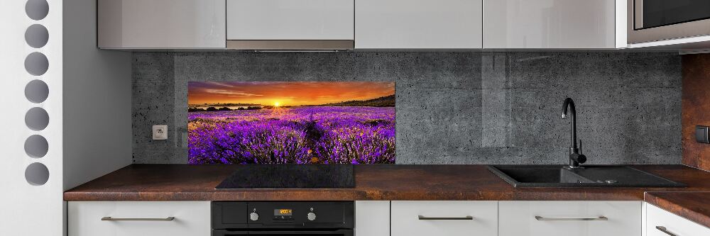 Cooker splashback Lavender field