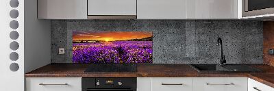 Cooker splashback Lavender field