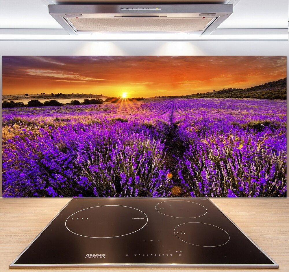 Cooker splashback Lavender field