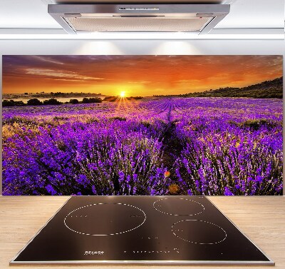 Cooker splashback Lavender field