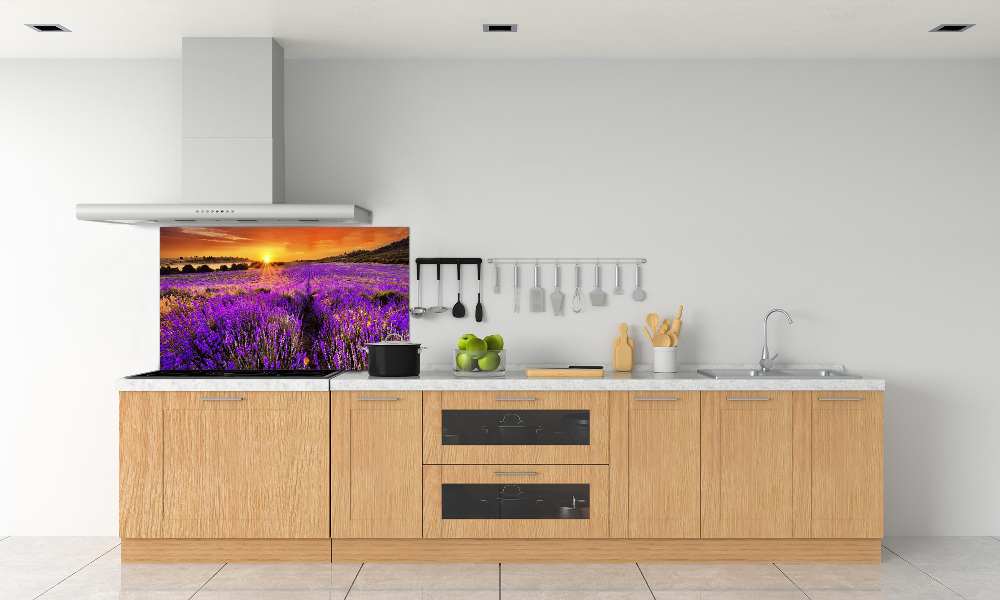 Cooker splashback Lavender field