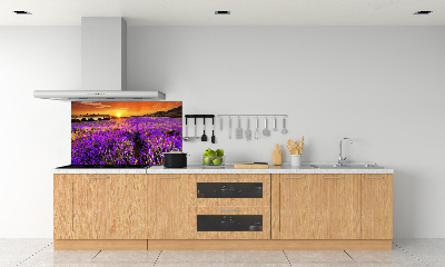 Cooker splashback Lavender field