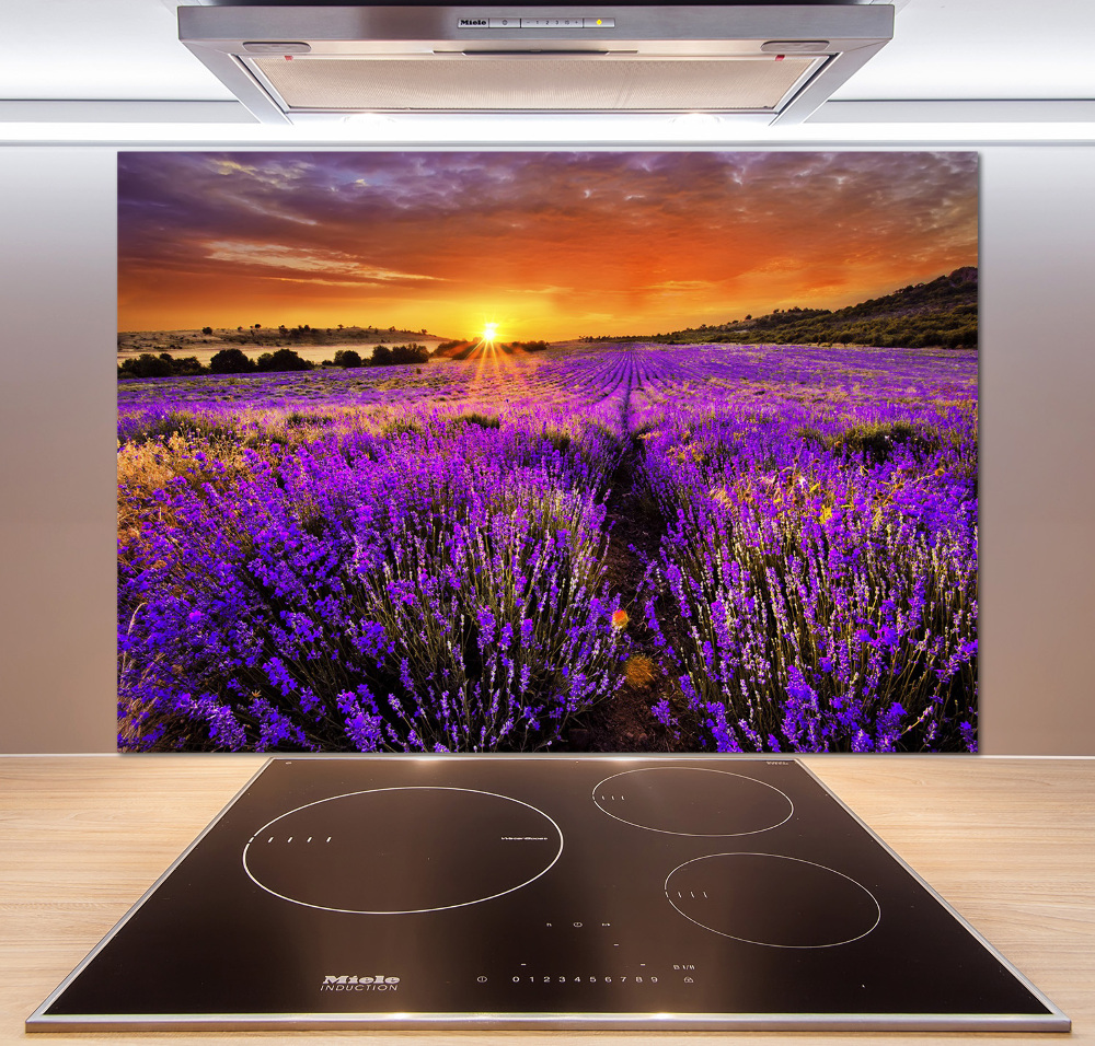 Cooker splashback Lavender field