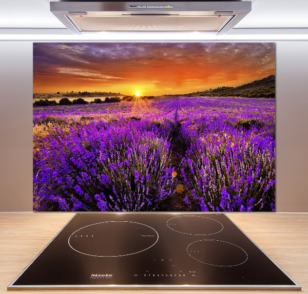 Cooker splashback Lavender field