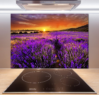 Cooker splashback Lavender field