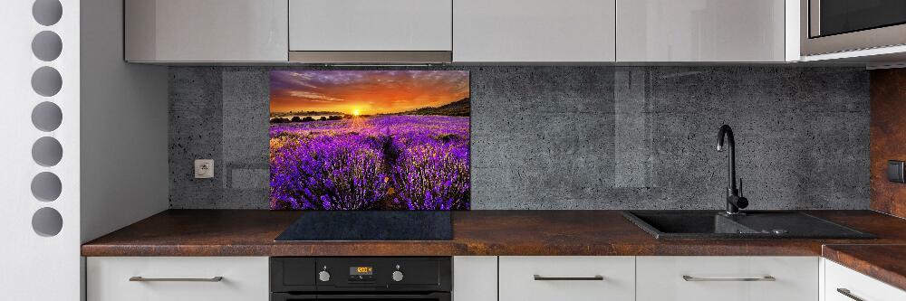 Cooker splashback Lavender field