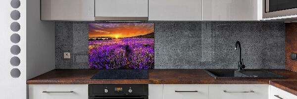 Cooker splashback Lavender field