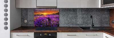 Cooker splashback Lavender field