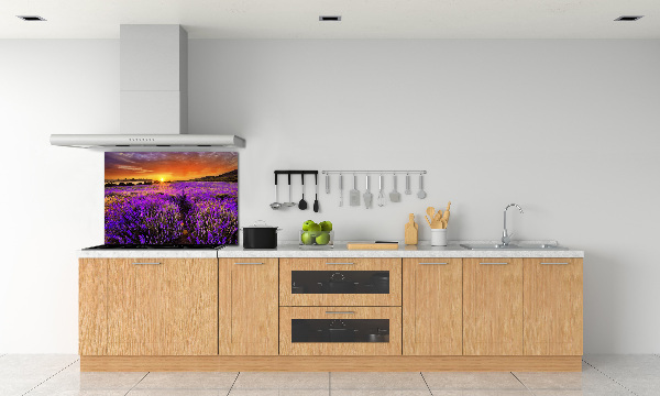 Cooker splashback Lavender field