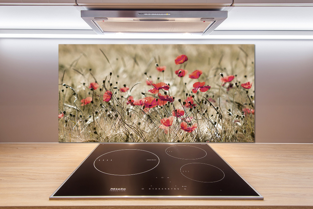 Cooker splashback Macs