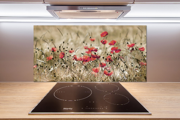 Cooker splashback Macs